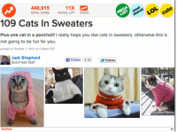 buzzfeedcatcontent