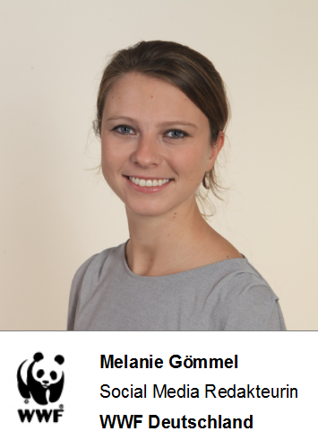 Melanie Gömmel, Social Media Redakteurin beim WWF Deutschland